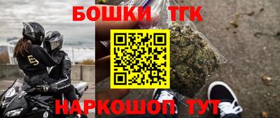 мдпв Новозыбков